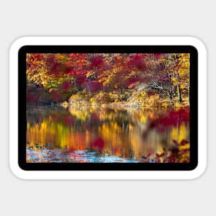 Autumn Colors Sticker